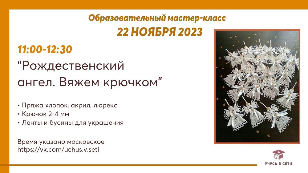 Общественная Организация АНО «Всероссийская социально-образовательная организация «Учусь в сети»